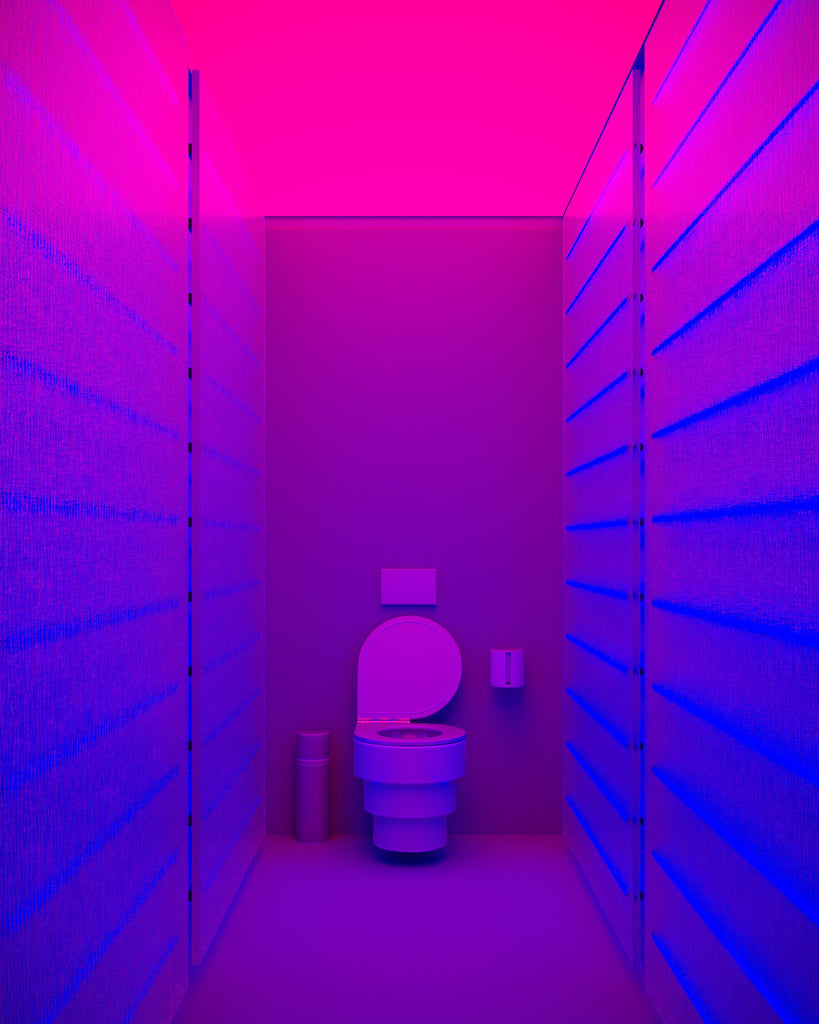 Quelle couleur de peinture choisir pour des WC modernes et élégants ?